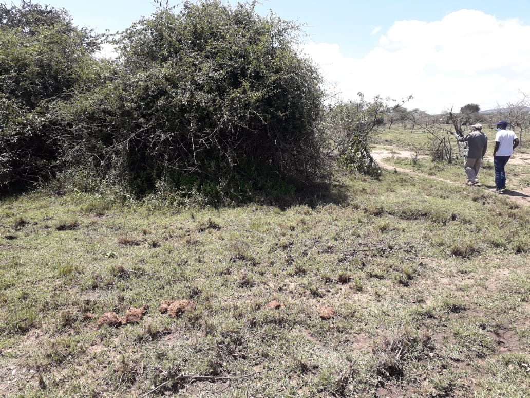 Additional property image